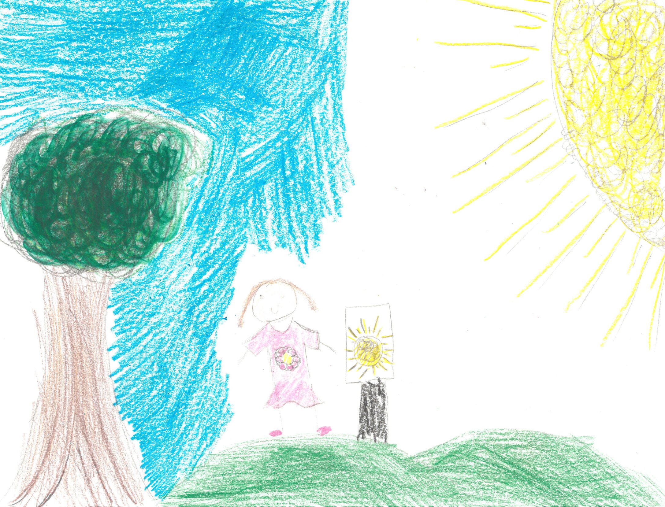 Park scene with trees and grass